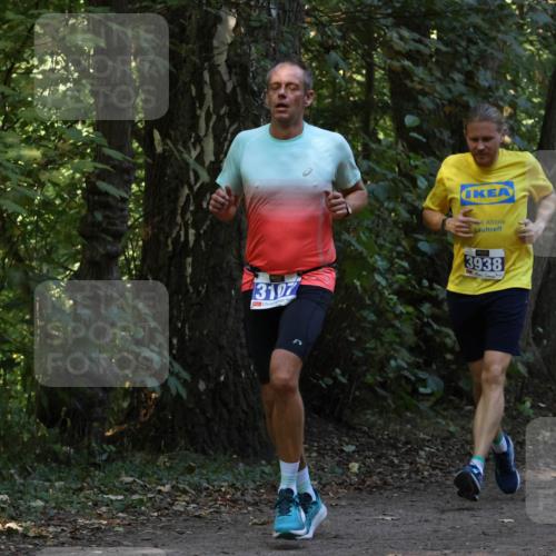 28.09.2025 - 33. Volkslauf durch das schöne Alstertal Strokosch-Dieckow http://msf.ph/oto/8968774 28.09.2025 11:15:51 Laufen 3107, 3938 meine-sportfotos.de