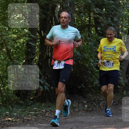 28.09.2025 - 33. Volkslauf durch das schöne Alstertal Strokosch-Dieckow http://msf.ph/oto/8968776 28.09.2025 11:15:51 Laufen 3107, 3938, 3 meine-sportfotos.de