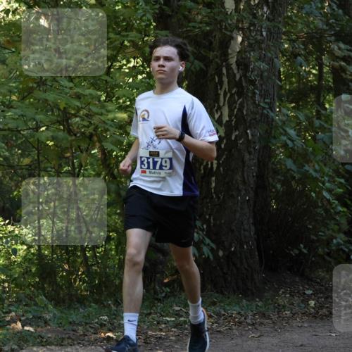 28.09.2025 - 33. Volkslauf durch das schöne Alstertal Strokosch-Dieckow http://msf.ph/oto/8968785 28.09.2025 11:15:56 Laufen 3179 meine-sportfotos.de