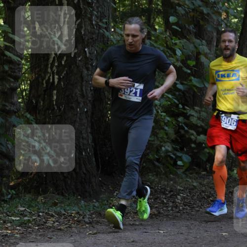 28.09.2025 - 33. Volkslauf durch das schöne Alstertal Strokosch-Dieckow http://msf.ph/oto/8968791 28.09.2025 11:16:08 Laufen 3921, 906 meine-sportfotos.de