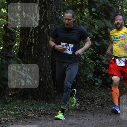28.09.2025 - 33. Volkslauf durch das schöne Alstertal Strokosch-Dieckow http://msf.ph/oto/8968792 28.09.2025 11:16:08 Laufen 21, 3906 meine-sportfotos.de