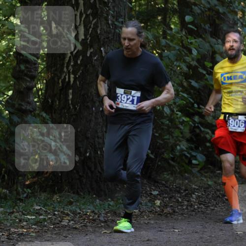28.09.2025 - 33. Volkslauf durch das schöne Alstertal Strokosch-Dieckow http://msf.ph/oto/8968793 28.09.2025 11:16:08 Laufen 3921, 906 meine-sportfotos.de