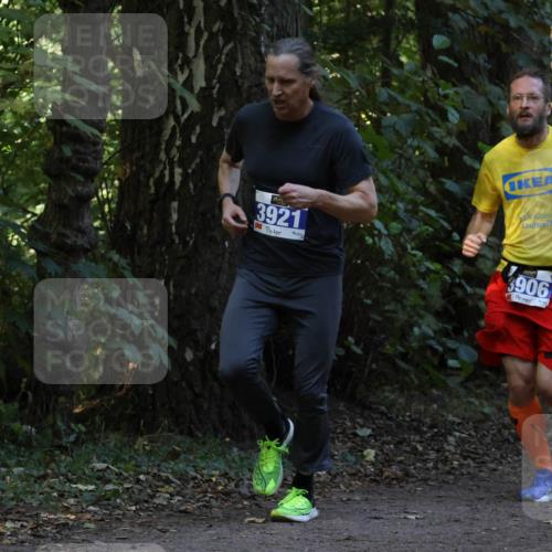 28.09.2025 - 33. Volkslauf durch das schöne Alstertal Strokosch-Dieckow http://msf.ph/oto/8968794 28.09.2025 11:16:08 Laufen 3921, 3906 meine-sportfotos.de