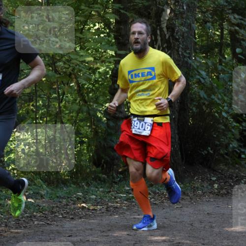 28.09.2025 - 33. Volkslauf durch das schöne Alstertal Strokosch-Dieckow http://msf.ph/oto/8968795 28.09.2025 11:16:09 Laufen 921, 3906 meine-sportfotos.de