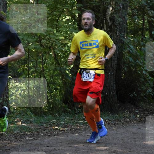 28.09.2025 - 33. Volkslauf durch das schöne Alstertal Strokosch-Dieckow http://msf.ph/oto/8968796 28.09.2025 11:16:09 Laufen 3921, 3906 meine-sportfotos.de