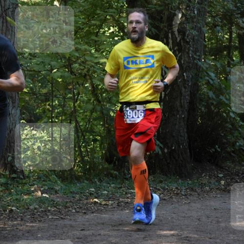28.09.2025 - 33. Volkslauf durch das schöne Alstertal Strokosch-Dieckow http://msf.ph/oto/8968797 28.09.2025 11:16:10 Laufen 392, 3906 meine-sportfotos.de
