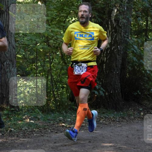 28.09.2025 - 33. Volkslauf durch das schöne Alstertal Strokosch-Dieckow http://msf.ph/oto/8968798 28.09.2025 11:16:10 Laufen 3921, 3906 meine-sportfotos.de