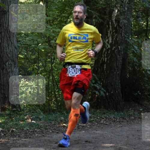 28.09.2025 - 33. Volkslauf durch das schöne Alstertal Strokosch-Dieckow http://msf.ph/oto/8968799 28.09.2025 11:16:10 Laufen 921, 3906 meine-sportfotos.de