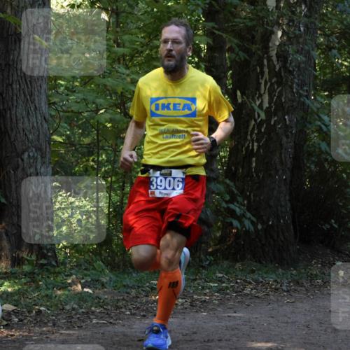 28.09.2025 - 33. Volkslauf durch das schöne Alstertal Strokosch-Dieckow http://msf.ph/oto/8968800 28.09.2025 11:16:10 Laufen 3906 meine-sportfotos.de