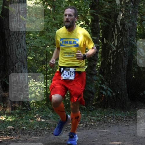 28.09.2025 - 33. Volkslauf durch das schöne Alstertal Strokosch-Dieckow http://msf.ph/oto/8968801 28.09.2025 11:16:10 Laufen 3906 meine-sportfotos.de
