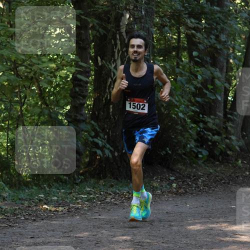 28.09.2025 - 33. Volkslauf durch das schöne Alstertal Strokosch-Dieckow http://msf.ph/oto/8968806 28.09.2025 11:16:24 Laufen 1502 meine-sportfotos.de