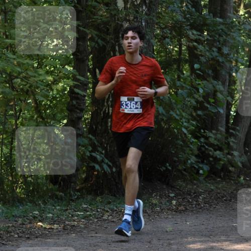 28.09.2025 - 33. Volkslauf durch das schöne Alstertal Strokosch-Dieckow http://msf.ph/oto/8968808 28.09.2025 11:16:29 Laufen 3364 meine-sportfotos.de