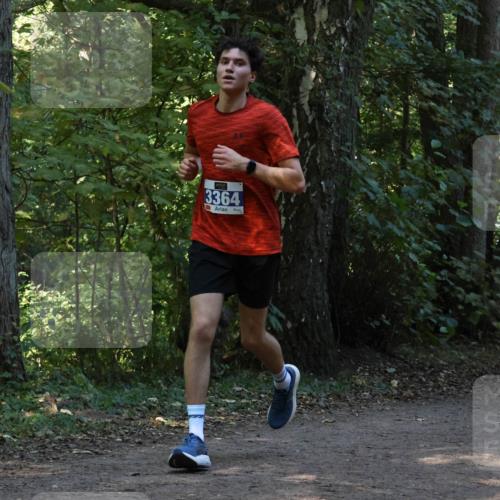 28.09.2025 - 33. Volkslauf durch das schöne Alstertal Strokosch-Dieckow http://msf.ph/oto/8968814 28.09.2025 11:16:29 Laufen 3364 meine-sportfotos.de