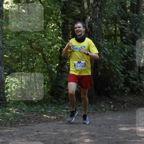 28.09.2025 - 33. Volkslauf durch das schöne Alstertal Strokosch-Dieckow http://msf.ph/oto/8968815 28.09.2025 11:16:58 Laufen 3909, 3419 meine-sportfotos.de