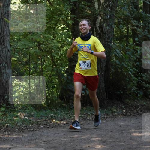 28.09.2025 - 33. Volkslauf durch das schöne Alstertal Strokosch-Dieckow http://msf.ph/oto/8968816 28.09.2025 11:16:58 Laufen 3909, 3419 meine-sportfotos.de
