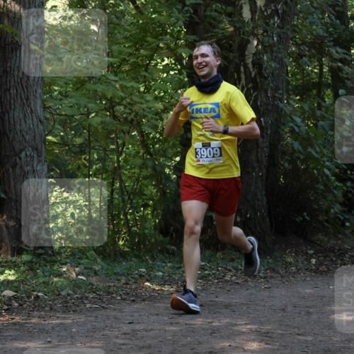 28.09.2025 - 33. Volkslauf durch das schöne Alstertal Strokosch-Dieckow http://msf.ph/oto/8968817 28.09.2025 11:16:58 Laufen 3909, 3419 meine-sportfotos.de