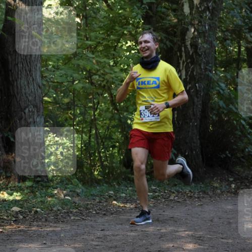 28.09.2025 - 33. Volkslauf durch das schöne Alstertal Strokosch-Dieckow http://msf.ph/oto/8968818 28.09.2025 11:16:58 Laufen 390, 3419 meine-sportfotos.de