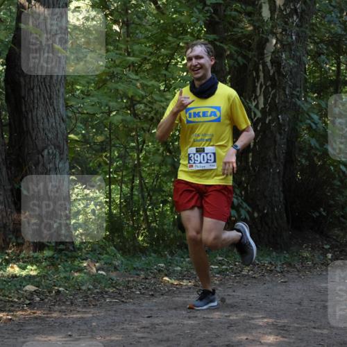 28.09.2025 - 33. Volkslauf durch das schöne Alstertal Strokosch-Dieckow http://msf.ph/oto/8968819 28.09.2025 11:16:58 Laufen 3909, 3419 meine-sportfotos.de