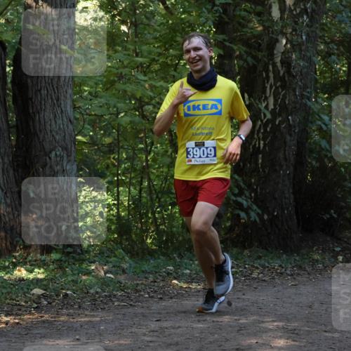 28.09.2025 - 33. Volkslauf durch das schöne Alstertal Strokosch-Dieckow http://msf.ph/oto/8968820 28.09.2025 11:16:58 Laufen 3909, 13419 meine-sportfotos.de