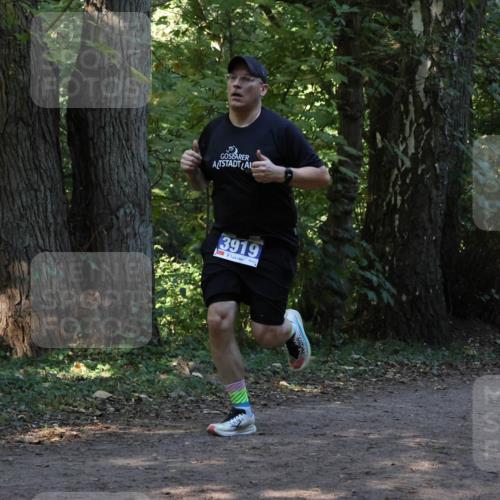 28.09.2025 - 33. Volkslauf durch das schöne Alstertal Strokosch-Dieckow http://msf.ph/oto/8968829 28.09.2025 11:17:04 Laufen 3919 meine-sportfotos.de