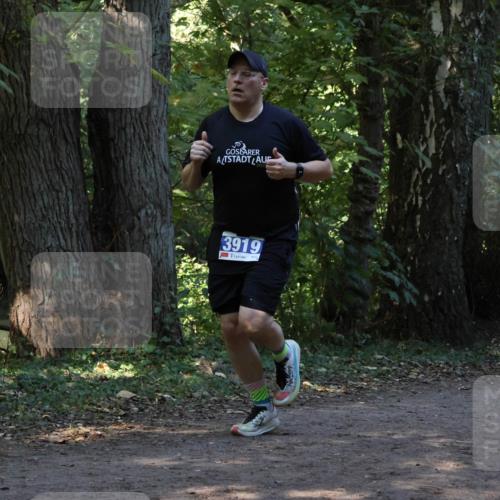 28.09.2025 - 33. Volkslauf durch das schöne Alstertal Strokosch-Dieckow http://msf.ph/oto/8968830 28.09.2025 11:17:05 Laufen 3919 meine-sportfotos.de