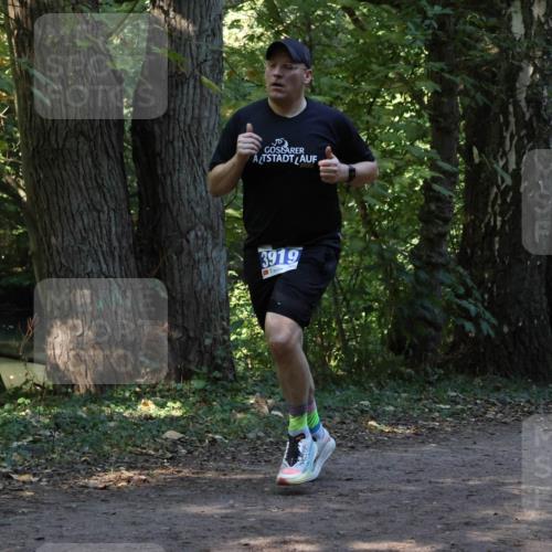 28.09.2025 - 33. Volkslauf durch das schöne Alstertal Strokosch-Dieckow http://msf.ph/oto/8968831 28.09.2025 11:17:05 Laufen 3919 meine-sportfotos.de