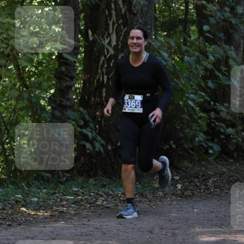 28.09.2025 - 33. Volkslauf durch das schöne Alstertal Strokosch-Dieckow http://msf.ph/oto/8968834 28.09.2025 11:17:14 Laufen 3369 meine-sportfotos.de