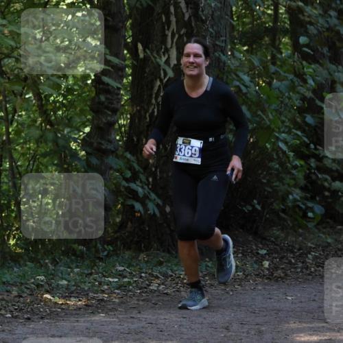 28.09.2025 - 33. Volkslauf durch das schöne Alstertal Strokosch-Dieckow http://msf.ph/oto/8968835 28.09.2025 11:17:14 Laufen 3369 meine-sportfotos.de