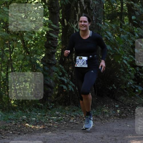 28.09.2025 - 33. Volkslauf durch das schöne Alstertal Strokosch-Dieckow http://msf.ph/oto/8968836 28.09.2025 11:17:14 Laufen 3369 meine-sportfotos.de