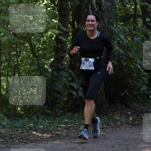 28.09.2025 - 33. Volkslauf durch das schöne Alstertal Strokosch-Dieckow http://msf.ph/oto/8968837 28.09.2025 11:17:14 Laufen 3369 meine-sportfotos.de
