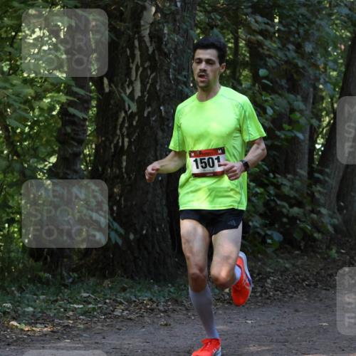 28.09.2025 - 33. Volkslauf durch das schöne Alstertal Strokosch-Dieckow http://msf.ph/oto/8968839 28.09.2025 11:17:22 Laufen 1501 meine-sportfotos.de