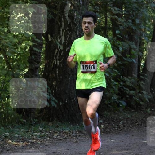 28.09.2025 - 33. Volkslauf durch das schöne Alstertal Strokosch-Dieckow http://msf.ph/oto/8968840 28.09.2025 11:17:22 Laufen 1501 meine-sportfotos.de
