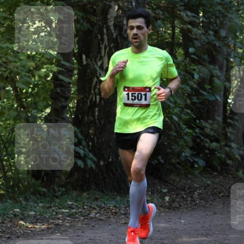 28.09.2025 - 33. Volkslauf durch das schöne Alstertal Strokosch-Dieckow http://msf.ph/oto/8968841 28.09.2025 11:17:22 Laufen 1501 meine-sportfotos.de
