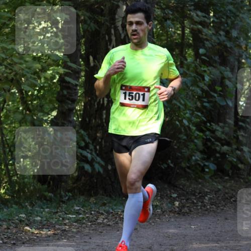 28.09.2025 - 33. Volkslauf durch das schöne Alstertal Strokosch-Dieckow http://msf.ph/oto/8968842 28.09.2025 11:17:22 Laufen 1501 meine-sportfotos.de