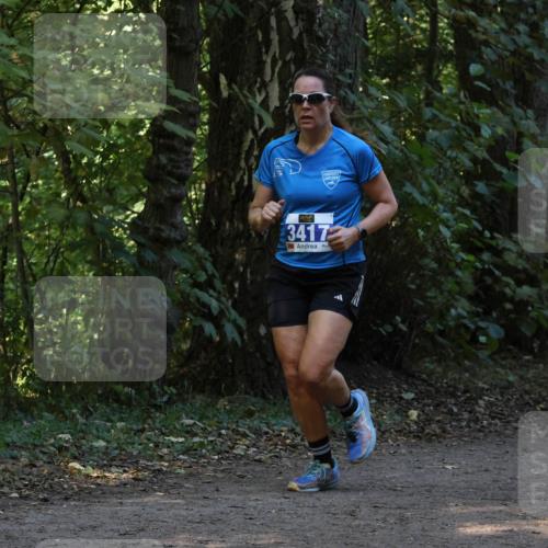 28.09.2025 - 33. Volkslauf durch das schöne Alstertal Strokosch-Dieckow http://msf.ph/oto/8968844 28.09.2025 11:17:25 Laufen 3417 meine-sportfotos.de