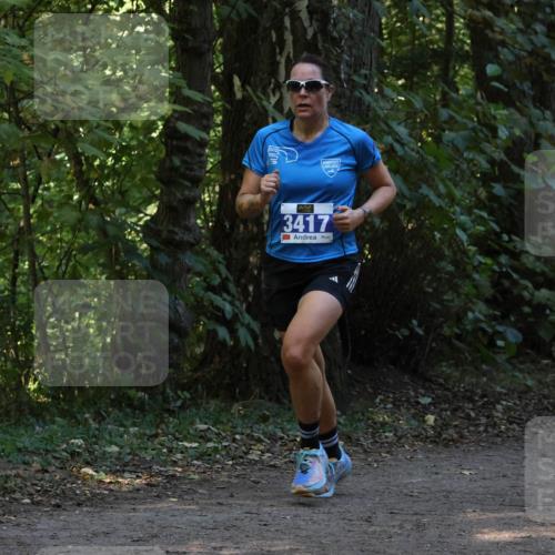 28.09.2025 - 33. Volkslauf durch das schöne Alstertal Strokosch-Dieckow http://msf.ph/oto/8968845 28.09.2025 11:17:25 Laufen 3417 meine-sportfotos.de
