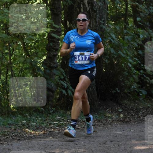 28.09.2025 - 33. Volkslauf durch das schöne Alstertal Strokosch-Dieckow http://msf.ph/oto/8968846 28.09.2025 11:17:25 Laufen 3417 meine-sportfotos.de