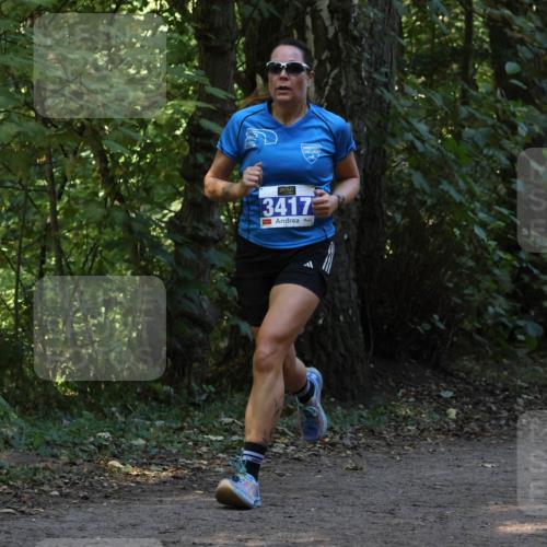28.09.2025 - 33. Volkslauf durch das schöne Alstertal Strokosch-Dieckow http://msf.ph/oto/8968847 28.09.2025 11:17:25 Laufen 3417 meine-sportfotos.de