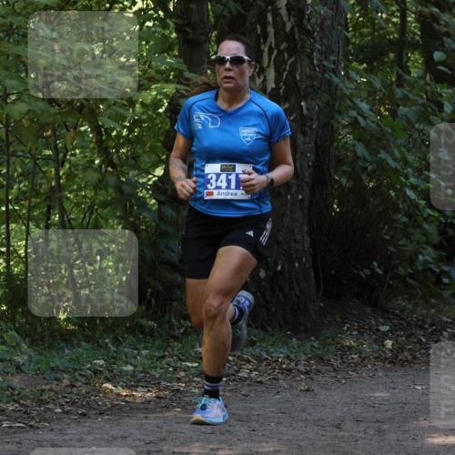 28.09.2025 - 33. Volkslauf durch das schöne Alstertal Strokosch-Dieckow http://msf.ph/oto/8968848 28.09.2025 11:17:25 Laufen 341 meine-sportfotos.de