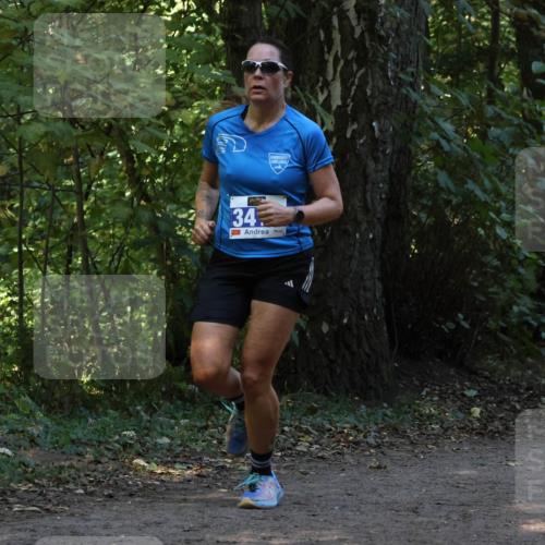 28.09.2025 - 33. Volkslauf durch das schöne Alstertal Strokosch-Dieckow http://msf.ph/oto/8968849 28.09.2025 11:17:25 Laufen 34 meine-sportfotos.de