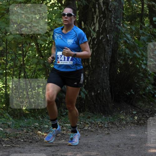 28.09.2025 - 33. Volkslauf durch das schöne Alstertal Strokosch-Dieckow http://msf.ph/oto/8968850 28.09.2025 11:17:25 Laufen 3417 meine-sportfotos.de