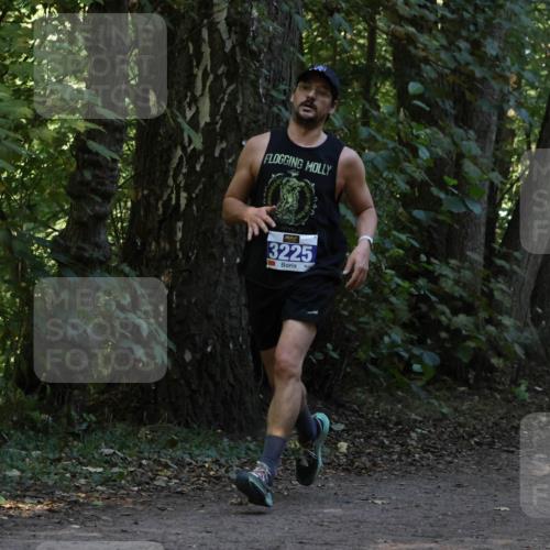 28.09.2025 - 33. Volkslauf durch das schöne Alstertal Strokosch-Dieckow http://msf.ph/oto/8968852 28.09.2025 11:17:27 Laufen 3225 meine-sportfotos.de