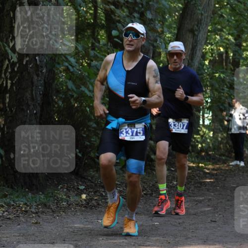 28.09.2025 - 33. Volkslauf durch das schöne Alstertal Strokosch-Dieckow http://msf.ph/oto/8968881 28.09.2025 11:17:57 Laufen 3375, 3307, 3134 meine-sportfotos.de