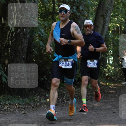 28.09.2025 - 33. Volkslauf durch das schöne Alstertal Strokosch-Dieckow http://msf.ph/oto/8968883 28.09.2025 11:17:57 Laufen 3375, 3307, 3134 meine-sportfotos.de
