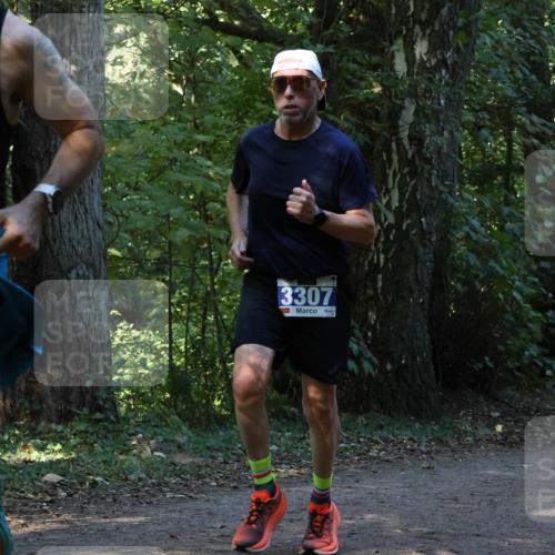 28.09.2025 - 33. Volkslauf durch das schöne Alstertal Strokosch-Dieckow http://msf.ph/oto/8968887 28.09.2025 11:17:59 Laufen 74, 3375, 3307 meine-sportfotos.de