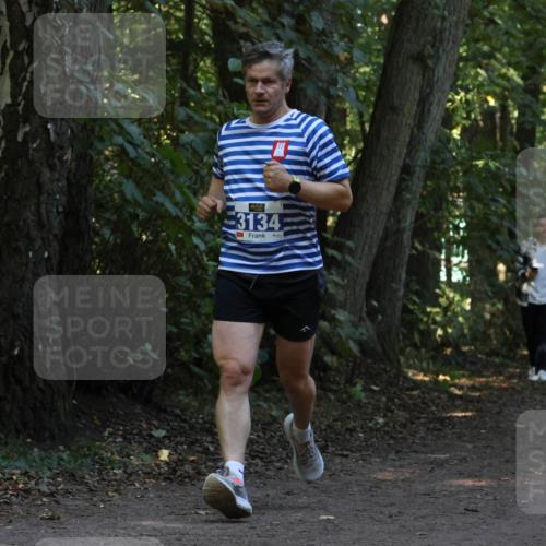 28.09.2025 - 33. Volkslauf durch das schöne Alstertal Strokosch-Dieckow http://msf.ph/oto/8968891 28.09.2025 11:18:02 Laufen 3134 meine-sportfotos.de