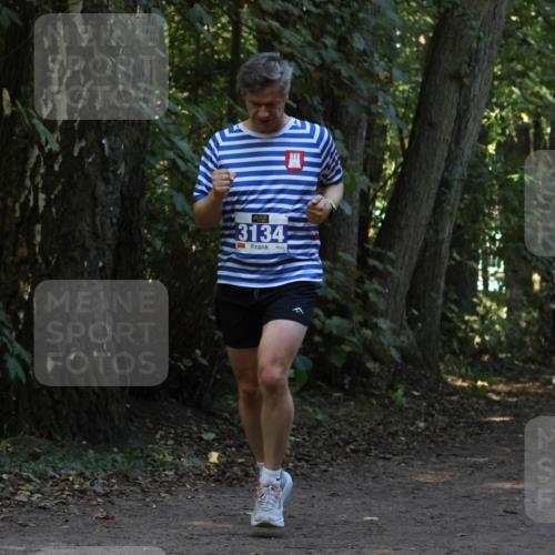 28.09.2025 - 33. Volkslauf durch das schöne Alstertal Strokosch-Dieckow http://msf.ph/oto/8968895 28.09.2025 11:18:03 Laufen 3134 meine-sportfotos.de