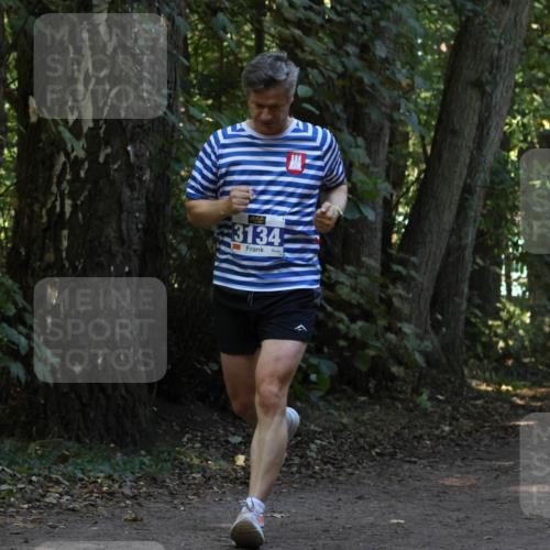 28.09.2025 - 33. Volkslauf durch das schöne Alstertal Strokosch-Dieckow http://msf.ph/oto/8968897 28.09.2025 11:18:03 Laufen 3134 meine-sportfotos.de