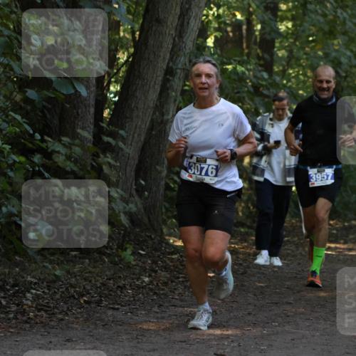 28.09.2025 - 33. Volkslauf durch das schöne Alstertal Strokosch-Dieckow http://msf.ph/oto/8968900 28.09.2025 11:18:11 Laufen 3076, 3957 meine-sportfotos.de