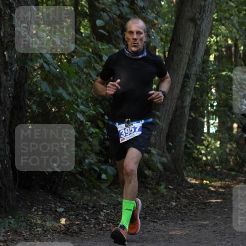 28.09.2025 - 33. Volkslauf durch das schöne Alstertal Strokosch-Dieckow http://msf.ph/oto/8968905 28.09.2025 11:18:14 Laufen 3957 meine-sportfotos.de
